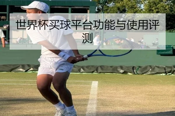 世界杯买球平台功能与使用评测