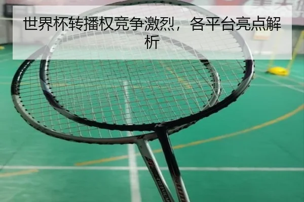 世界杯转播权竞争激烈，各平台亮点解析