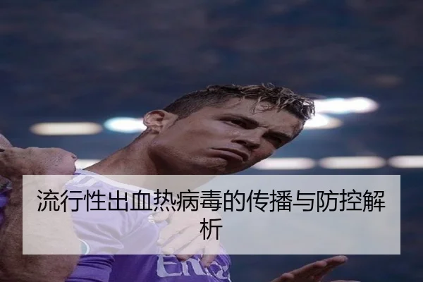 流行性出血热病毒的传播与防控解析