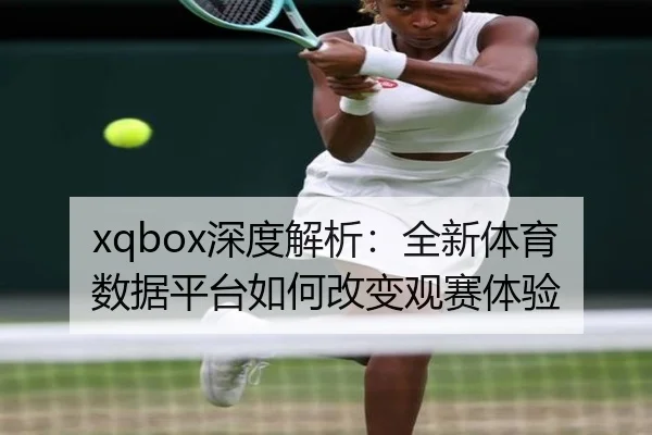 xqbox深度解析：全新体育数据平台如何改变观赛体验