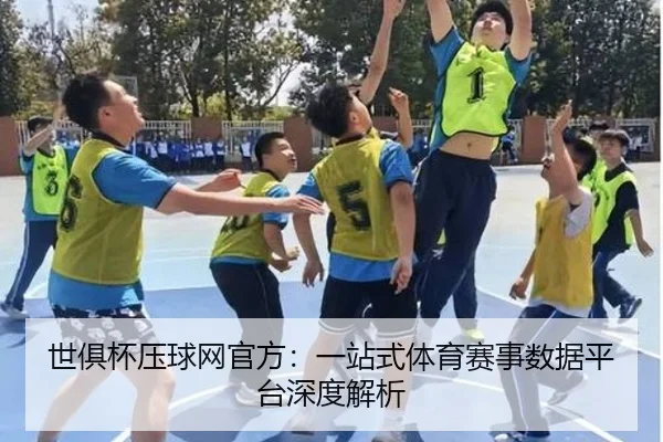 世俱杯压球网官方：一站式体育赛事数据平台深度解析